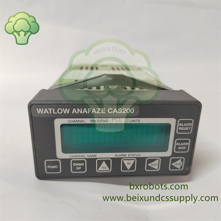<strong>Watlow Anafaze CAS200 CLS216 16 通道温度报警扫描</strong>