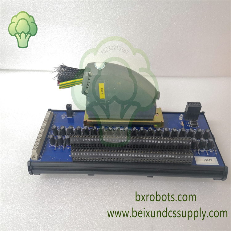 <strong>ICS T8830 40 通道模拟量输入 FTA 端子板 Trusted TMR</strong>