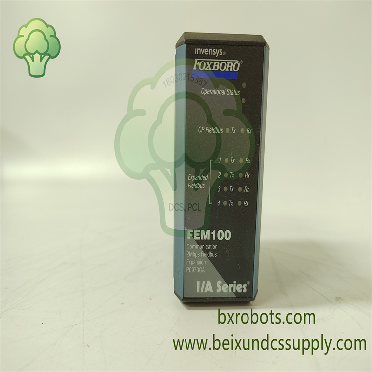 <strong>FOXBORO FEM100 P0973CA 现场总线扩展模块</strong>